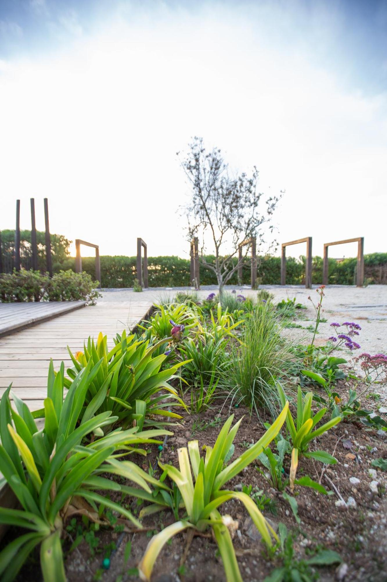 Refugio Lobos Villa Pichilemu Exterior foto